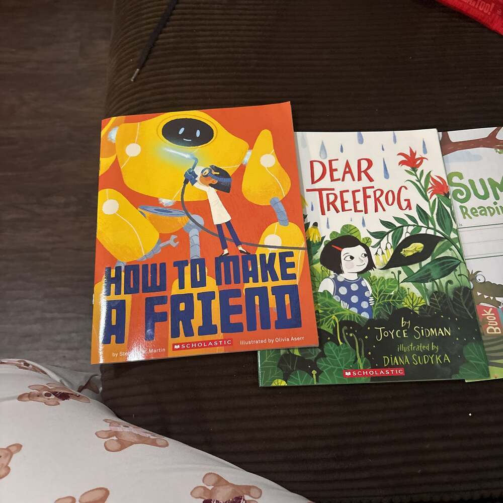 How to Make a Friend‎ & Dear tree frog paperbacks NEW